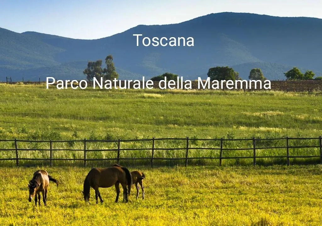 Appartamento La Libellula Grosseto